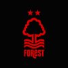 nottingham forest logo black 2022 768x432 1