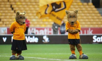 wolves mascots newcastle united nufc 800 768x432 1